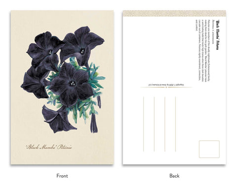 the Goth Garden Dark Blooms Postcards set Adams Media