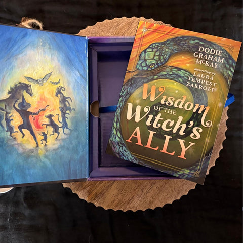 A Witch's Ally Oracle Deck 48 Cards & Guidebook by Llewellyn