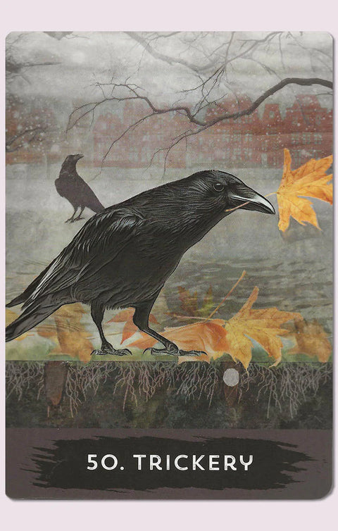 Urban Crow Oracle Cards Deck & Guidebook