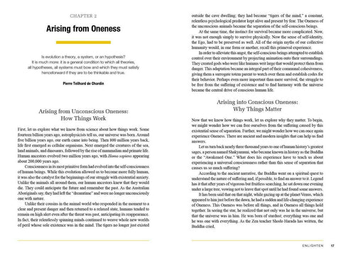 The Three Principles Of Oneness Book Schiffer Publishing Anthony Stultz NEW