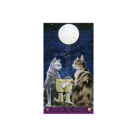 Tarot Of Pagan Cats Deck Cards Airaghi Lo Scarabeo Esoteric Fortune Telling NEW
