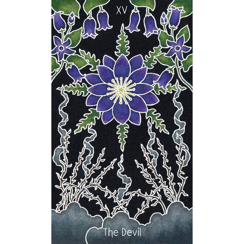 Animystic Tarot Deck 78 Cards & Guidebook Nature Magic by Red Feather