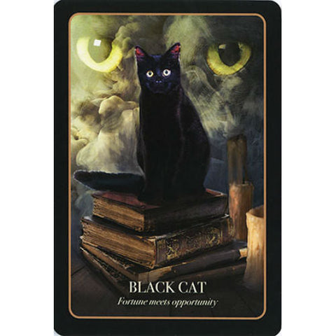 Halloween Oracle Tarot Divination Deck by Stacey Demarco Blue Angel