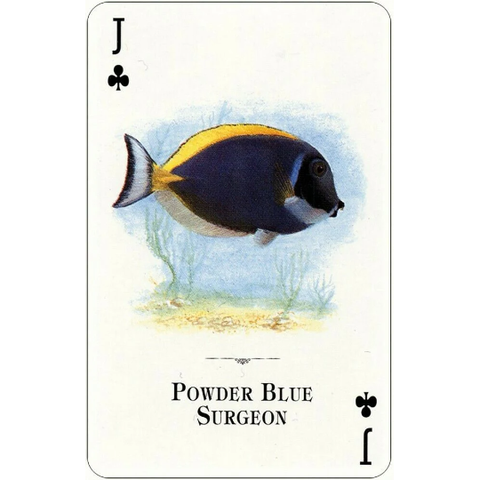 Aquarium Fish of the Natural World Playing Cards Deck by US Games