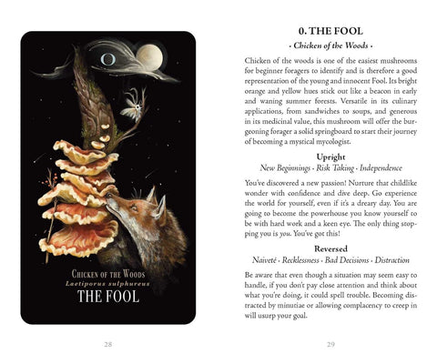 Midnight Magic Mushroom Tarot Card Deck by Sara Richard Adams Media