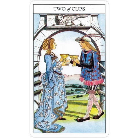 Beginner Tarot Cards Deck & Guide Book Set Sharman-Caselli US Games