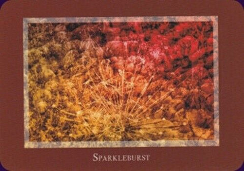 Gaia'S Vision Oracle Cards Deck Original Schiffer Publishing By Susan Starr NEW