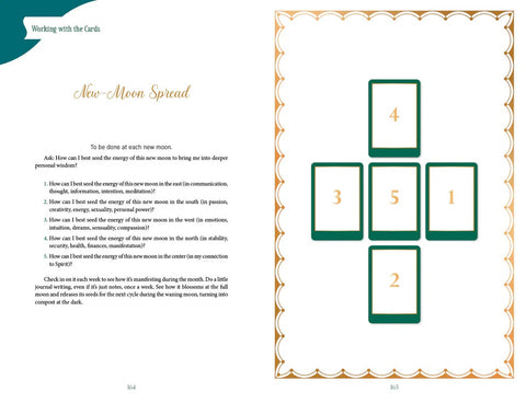 Gaian Tarot 2nd Edition Deck & Guidebook Multicultural Earth Spirituality