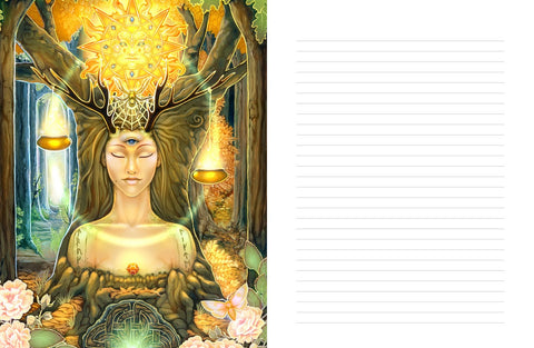 A Seeker’S Tale Journal Notebook Deluxe Blue Angel Ravynne Phelan 220-Page NEW