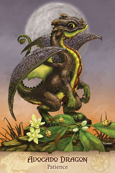 Field Guide to Garden Dragons Oracle Cards Deck & Book Set US Games