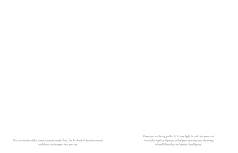 Hidden Worlds Journal L. Cavendish G. Williams Notebook Writing Blue Angel NEW