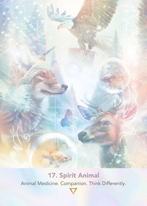 LightWeb Oracle Card Deck 44 Cards with Guidebook by Muse Oracle