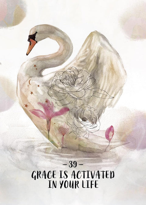 Sisterhood of the Seers Oracle Deck & Guidebook by Athena Laz Hay House