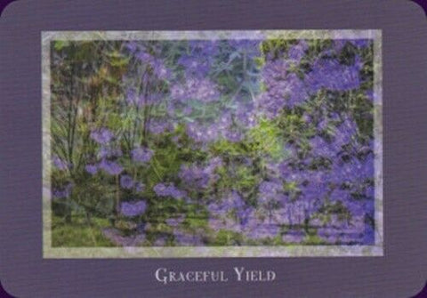 Gaia'S Vision Oracle Cards Deck Original Schiffer Publishing By Susan Starr NEW