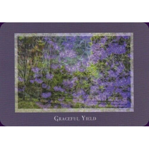 Gaia's Vision Oracle Deck 40 Cards with Guidebook Nature Photography Oracle
