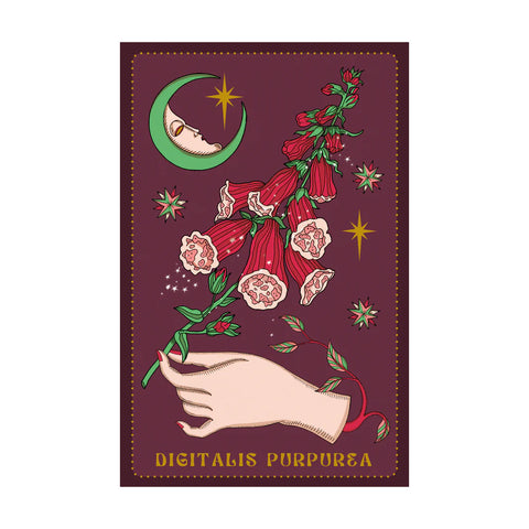 Herbarium Oracle Cards Lo Scarabeo