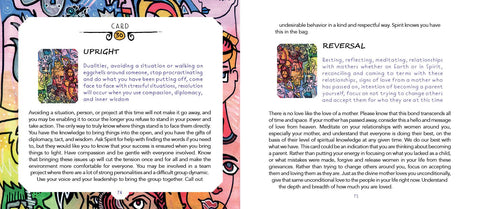 Powerful Perspectives Oracle Cards Deck Schiffer Publishing By Amanda Rhodes NEW