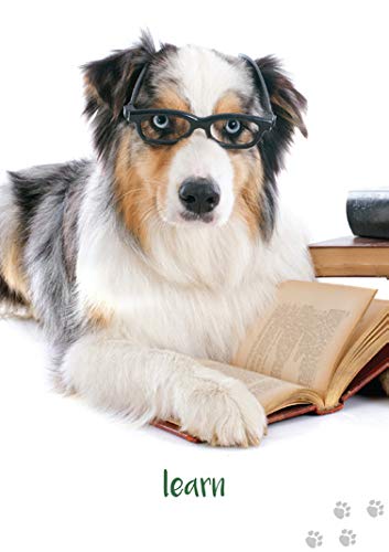 Dog Wisdom Oracle Cards Deck with Guidebook by Blue Angel 45 Card Set