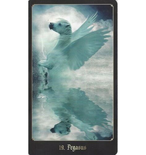 Chronicles Of Destiny Fortune Cards Deck Book Schiffer Publishing Ellershaw NEW