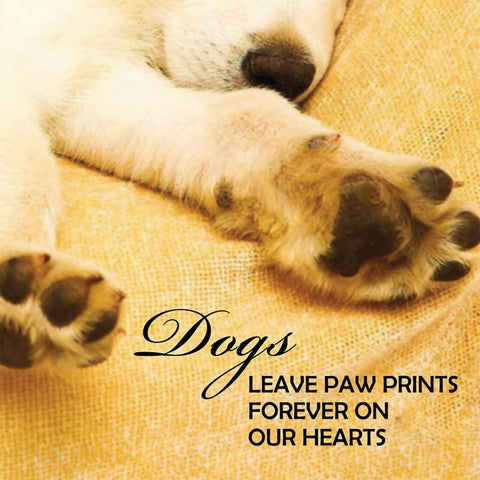 Pup Notes Dog Inspiration Cards Deck by U.S. Games Systems, 60 Cards