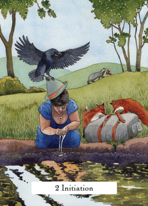 The Witches' Wisdom Tarot Card Deck & Guidebook by Phyllis Curott