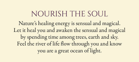 Eternal Light Mini Oracle Cards Blue Angel Publishing Toni Carmine Salerno NEW