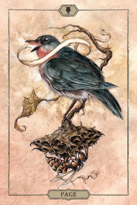 Hush Tarot Deck by Jeremy Hush 78 Cards & Guidebook US Games Systems
