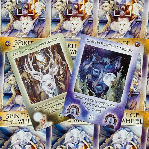 Spirit of the Wheel Meditation Oracle Deck by US Games, 40 Cards