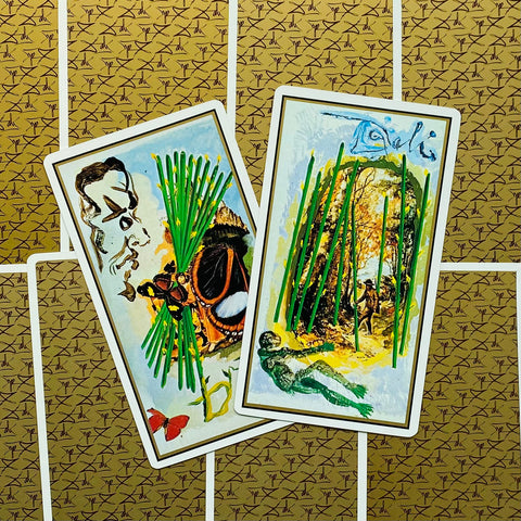 Salvador Dali Tarot Universal: Gold Edition Hardcover Cold Cut J. Fiebig Agm NEW