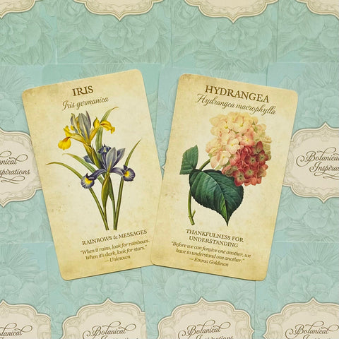 Botanical Inspirations Oracle Cards Deck & Guidebook Set US Games