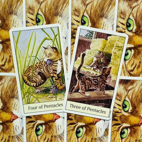 Cats Eye Tarot Deck Cards Esoteric Telling Cute US Games Systems NEW
