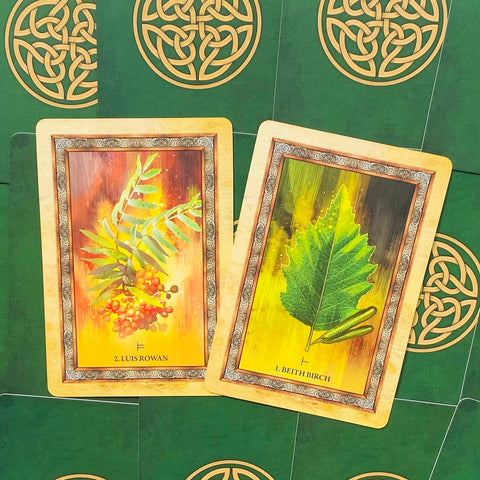 Celtic Tree Oracle Cards by Blue Angel 25-Card Deck & Guidebook Set