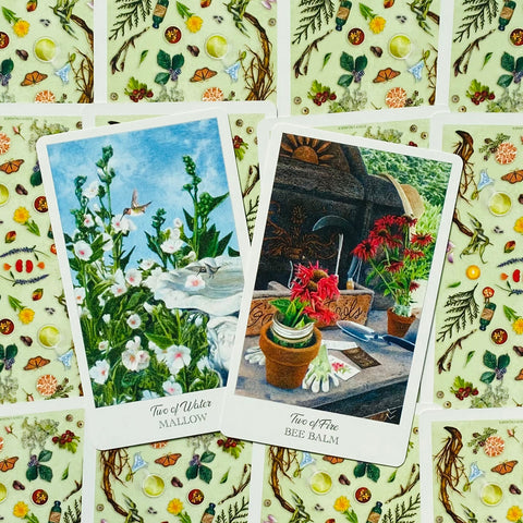 Herbcrafter's Tarot 78-Card Deck & Guidebook Set by US Games Systems