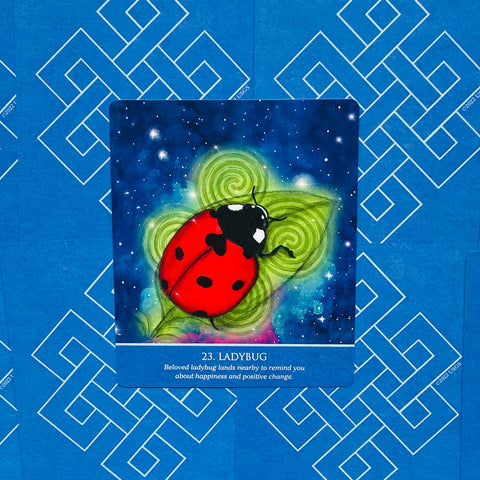Auspicious Symbols Oracle Deck & Guidebook for Luck, Healing | US Games