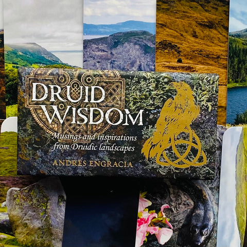 Druid Wisdom Inspiration Cards Deck Rockpool Publishing Andres Engracia NEW