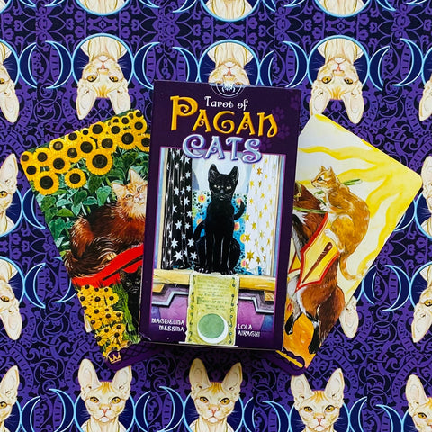 Tarot Of Pagan Cats Deck Cards Airaghi Lo Scarabeo Esoteric Fortune Telling NEW