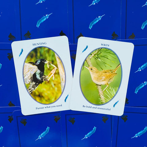 Feathered Omens Messenger Birds Spirit World Oracle Cards & Book Set