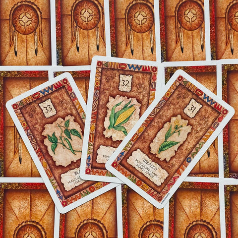 Shaman Wisdom Oracle Card Deck US Games by Leita Richesson
