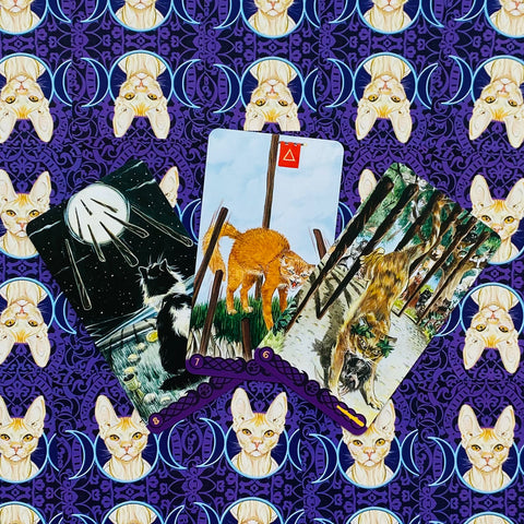 Tarot Of Pagan Cats Deck Cards Airaghi Lo Scarabeo Esoteric Fortune Telling NEW