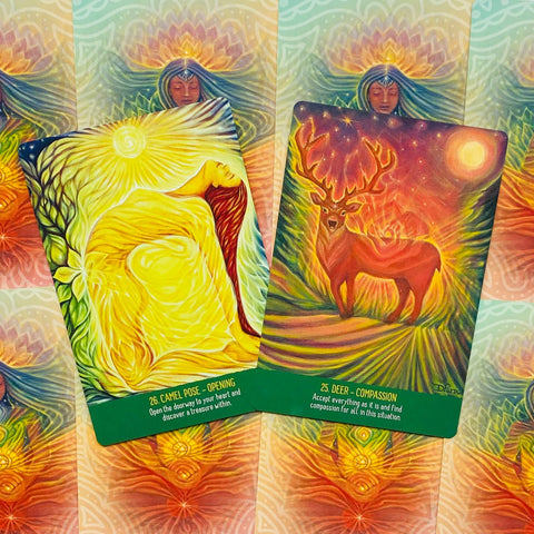 Infinite Wisdom of the Chakras Oracle Cards Deck & Guidebook Alison Denicola