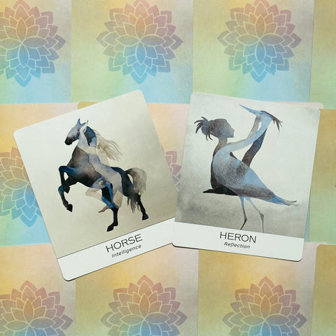 Nature & Soul Yoga Wisdom Cards Deck by US Games with Guidebook