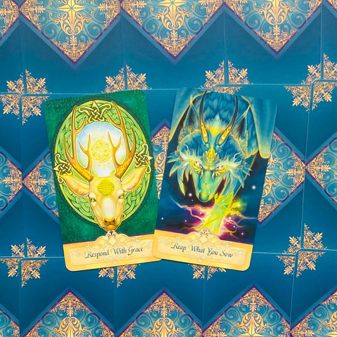 Seeker Oracle Cards Deck Blue Angel Esoteric Ravynne Phelan Fortune Telling NEW