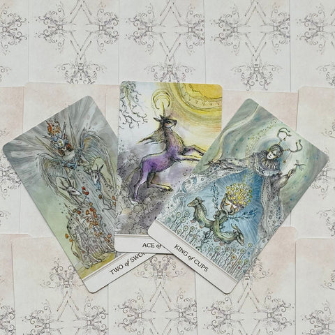 Phantasma Tarot Cards Deck US Games Systems Inc Paulina Fae Cassidy Esoteric NEW