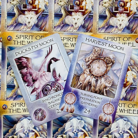 Spirit of the Wheel Meditation Oracle Deck by US Games, 40 Cards