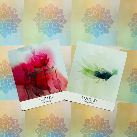 Nature & Soul Yoga Wisdom Cards Deck by US Games with Guidebook