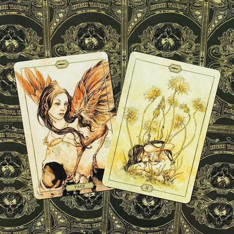 Hush Tarot Deck by Jeremy Hush 78 Cards & Guidebook US Games Systems