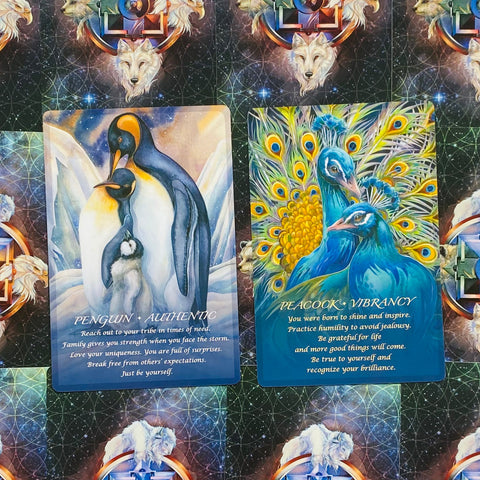 Spirit of the Animals Oracle Card Deck by Jody Bergsma US Games
