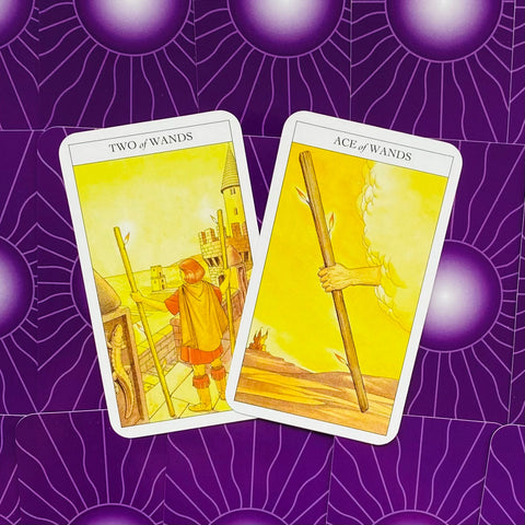 Beginner'S Guide To Tarot Cards Deck & Book Set Wisdom US Games Systems Bgts99