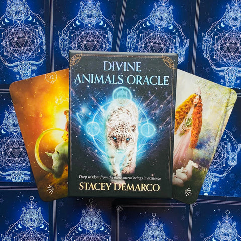 Divine Animals Oracle Cards Deck Rockpool Publishing Stacey Demarco Kinga NEW