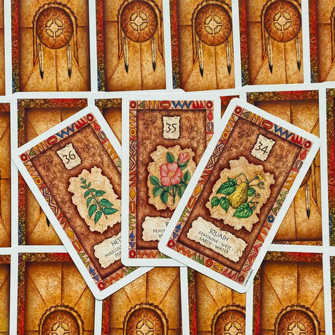 Shaman Wisdom Oracle Card Deck US Games by Leita Richesson